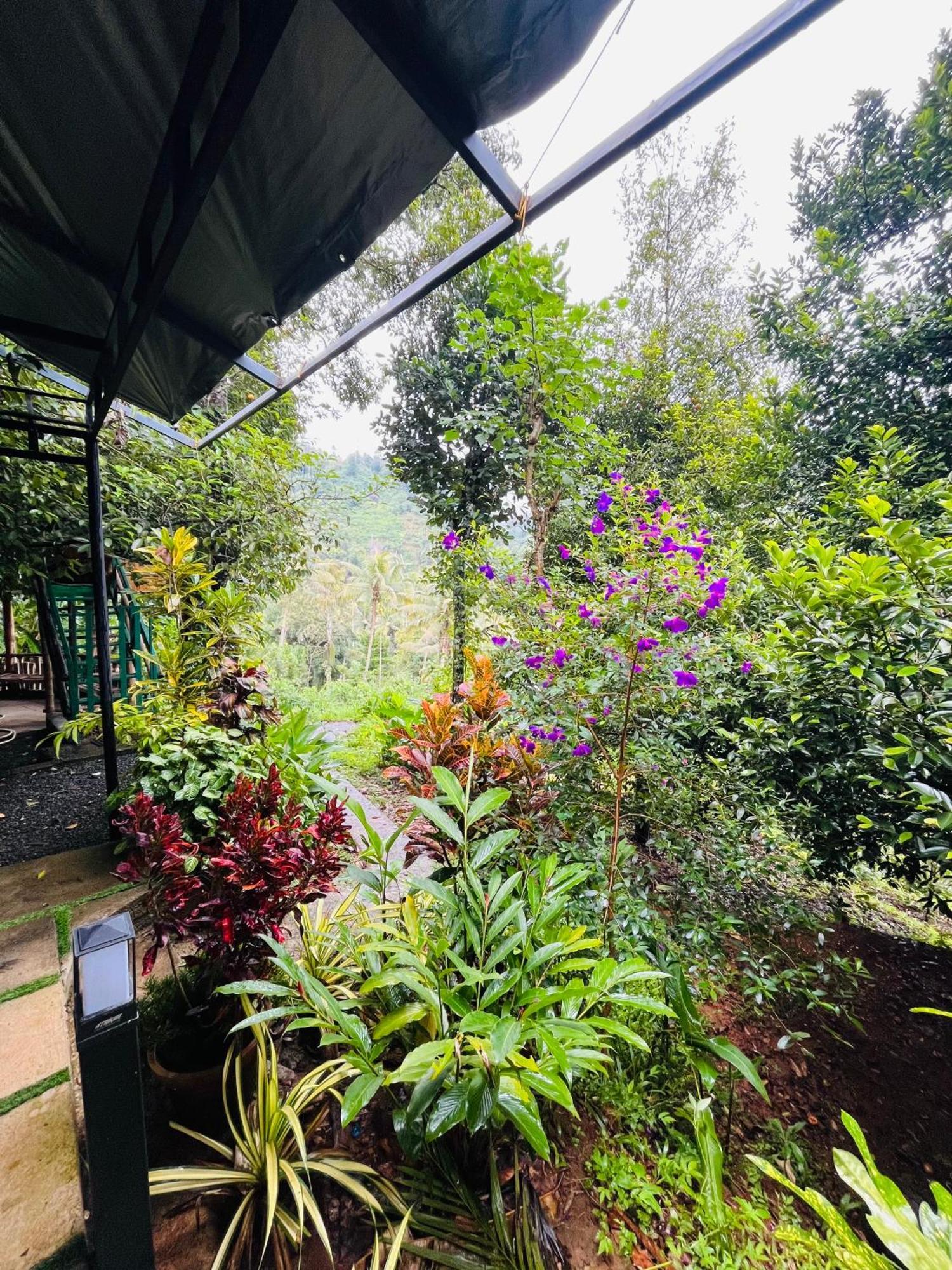 Homestay Fab Valley